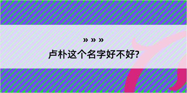 卢朴这个名字好不好?