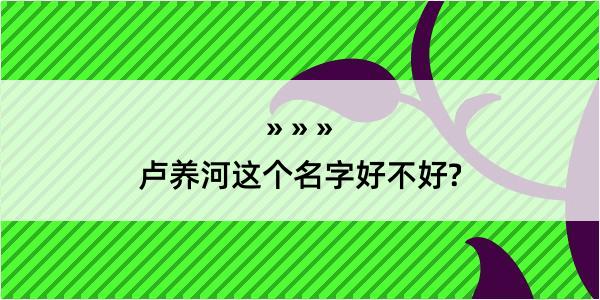 卢养河这个名字好不好?