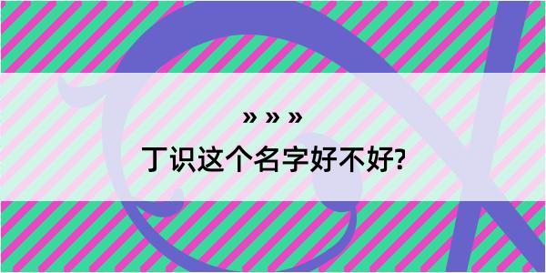 丁识这个名字好不好?