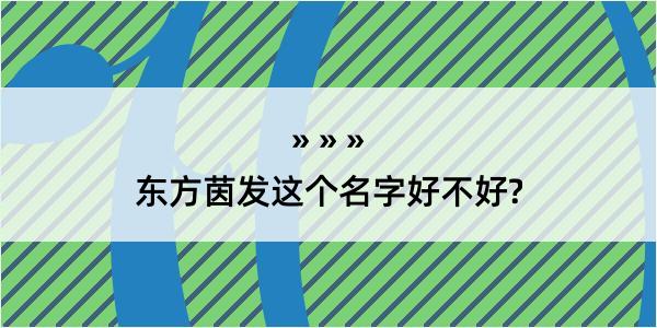 东方茵发这个名字好不好?