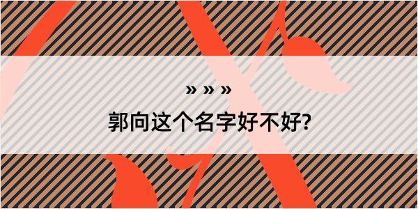 郭向这个名字好不好?