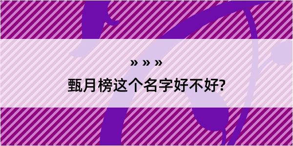 甄月榜这个名字好不好?