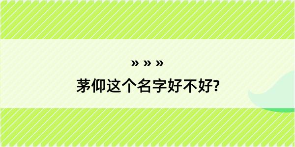 茅仰这个名字好不好?