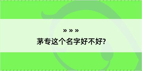 茅专这个名字好不好?