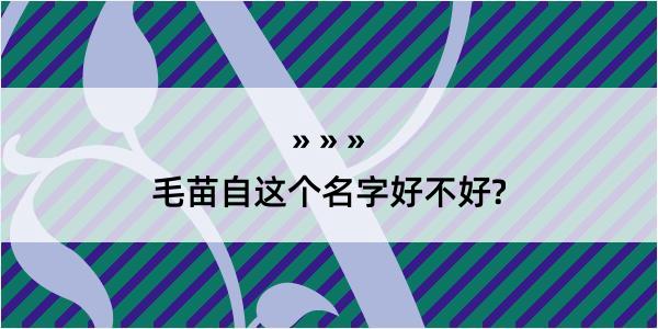 毛苗自这个名字好不好?