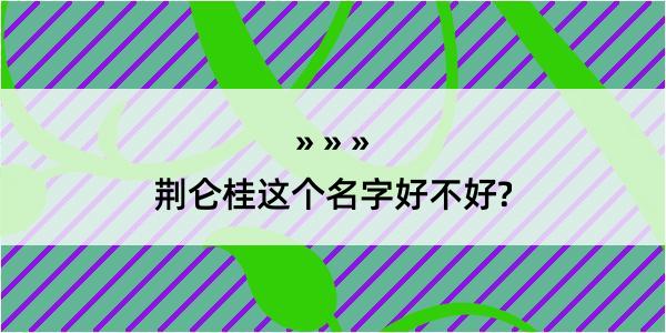 荆仑桂这个名字好不好?