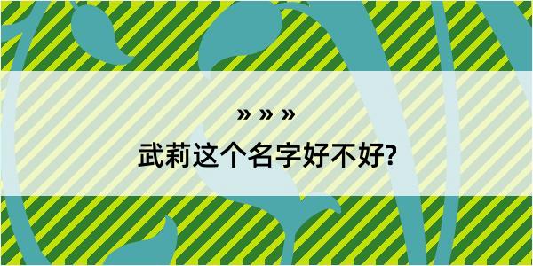 武莉这个名字好不好?