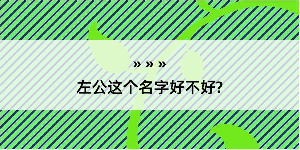 左公这个名字好不好?