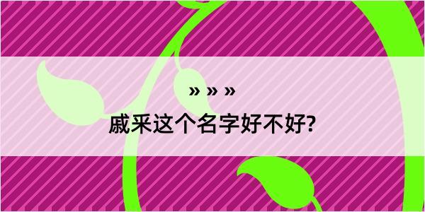 戚釆这个名字好不好?