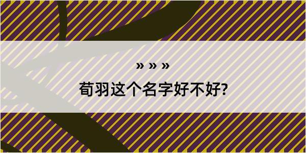 荀羽这个名字好不好?