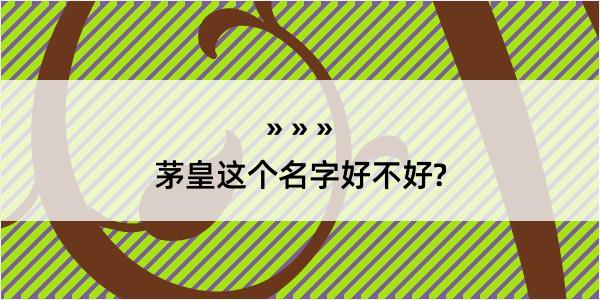 茅皇这个名字好不好?