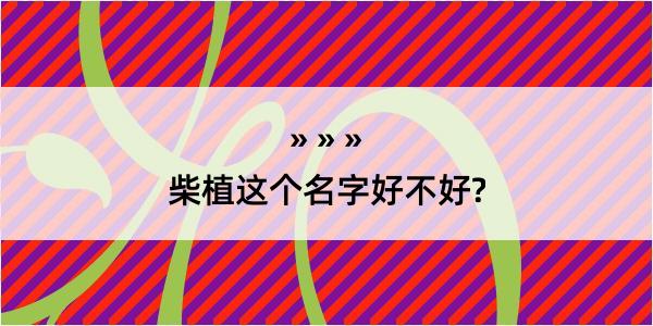 柴植这个名字好不好?