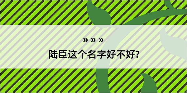 陆臣这个名字好不好?