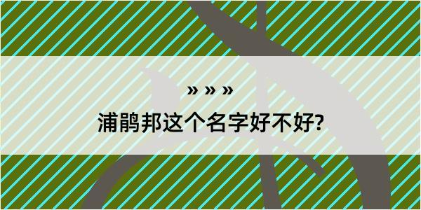 浦鹃邦这个名字好不好?