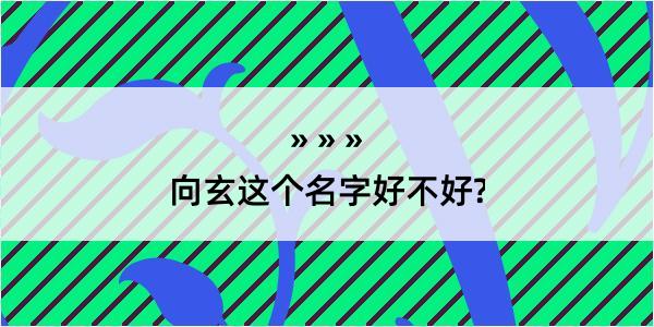 向玄这个名字好不好?