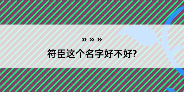 符臣这个名字好不好?