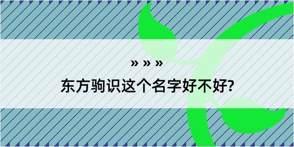 东方驹识这个名字好不好?