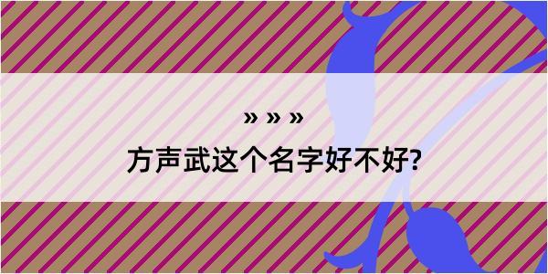 方声武这个名字好不好?