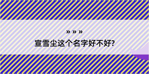 宣雪尘这个名字好不好?