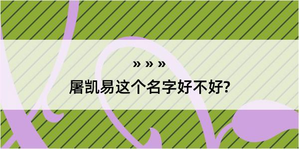 屠凯易这个名字好不好?