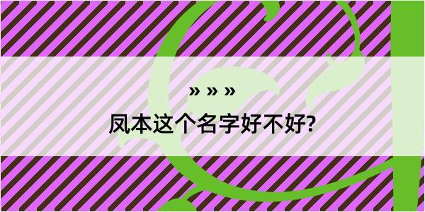 凤本这个名字好不好?