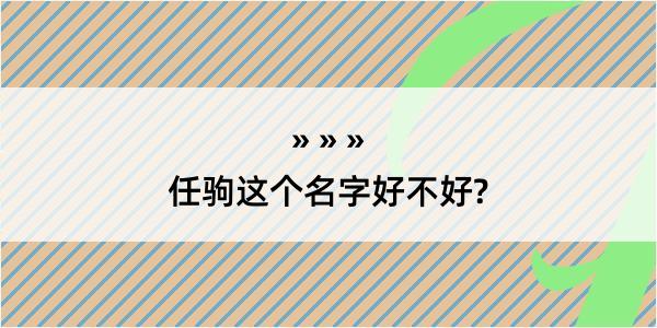 任驹这个名字好不好?