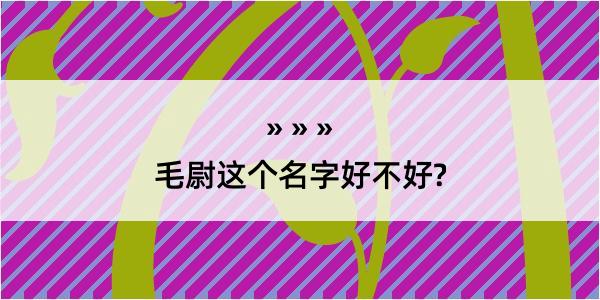 毛尉这个名字好不好?