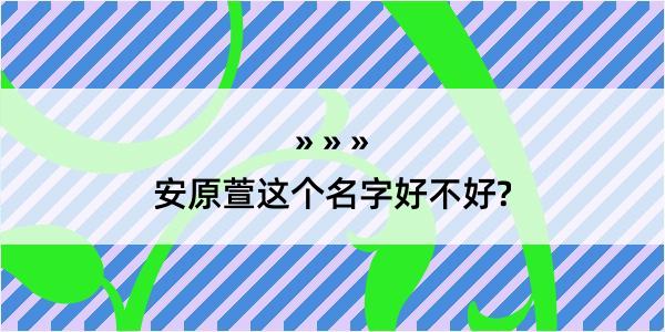 安原萱这个名字好不好?