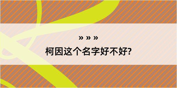 柯因这个名字好不好?