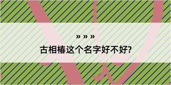 古相椿这个名字好不好?