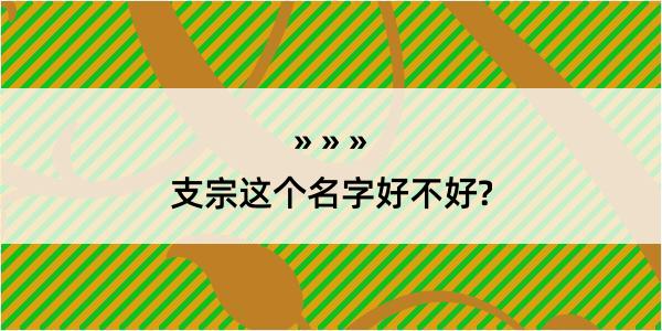 支宗这个名字好不好?