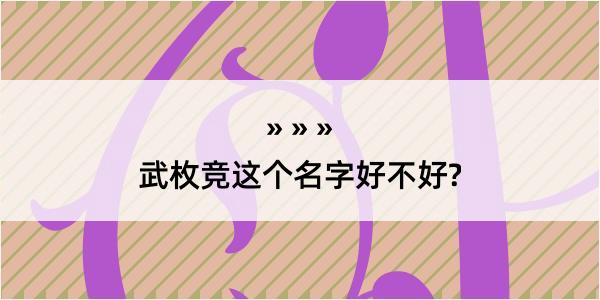 武枚竞这个名字好不好?