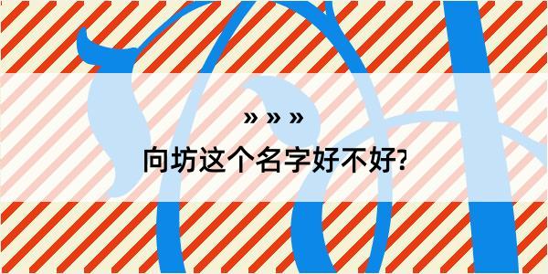 向坊这个名字好不好?