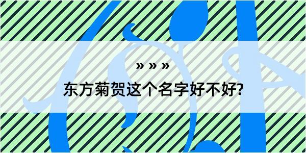 东方菊贺这个名字好不好?