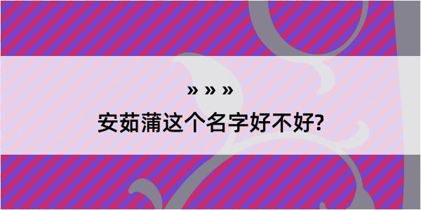 安茹蒲这个名字好不好?