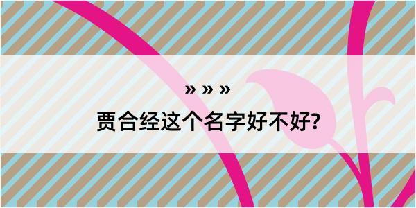 贾合经这个名字好不好?