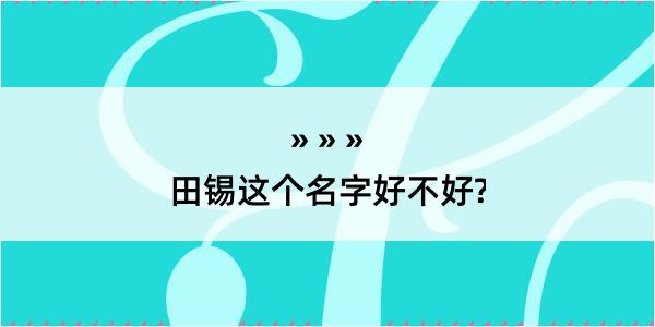 田锡这个名字好不好?