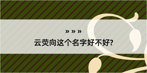 云荧向这个名字好不好?