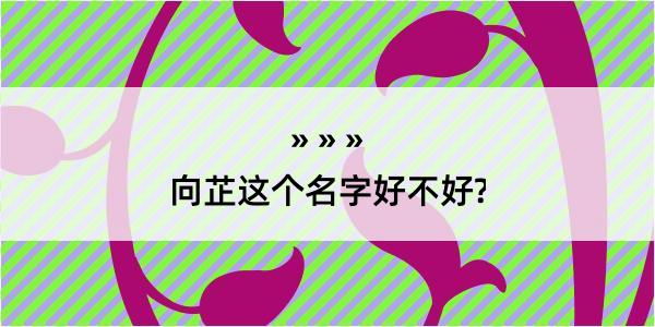 向芷这个名字好不好?