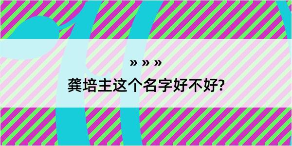 龚培主这个名字好不好?