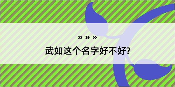 武如这个名字好不好?