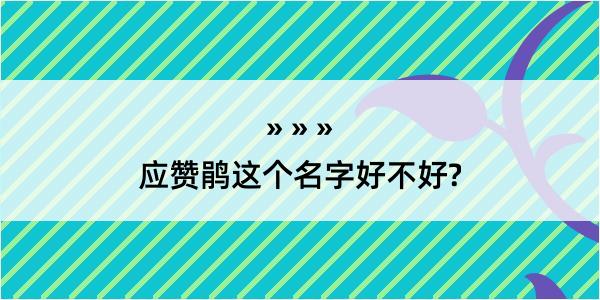 应赞鹃这个名字好不好?