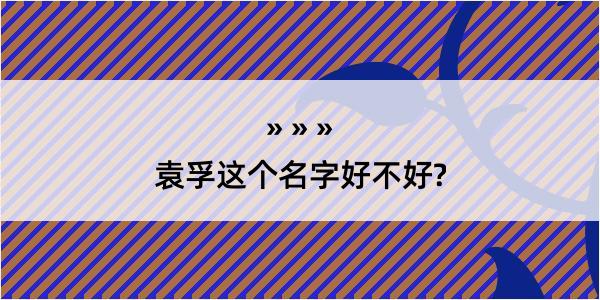 袁孚这个名字好不好?