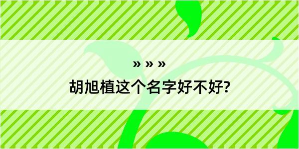 胡旭植这个名字好不好?