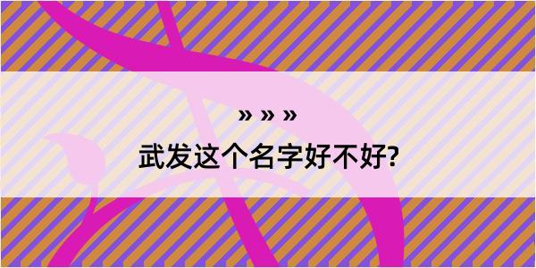 武发这个名字好不好?