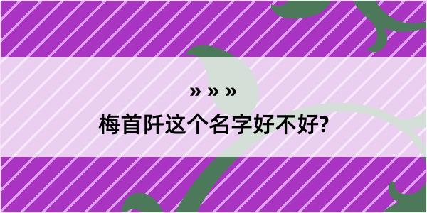 梅首阡这个名字好不好?