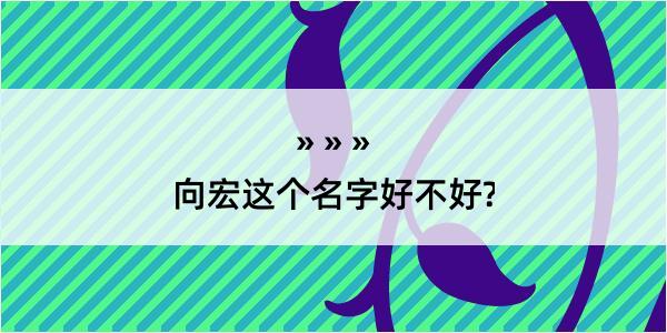 向宏这个名字好不好?