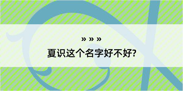 夏识这个名字好不好?