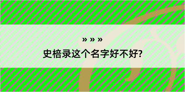 史棓录这个名字好不好?