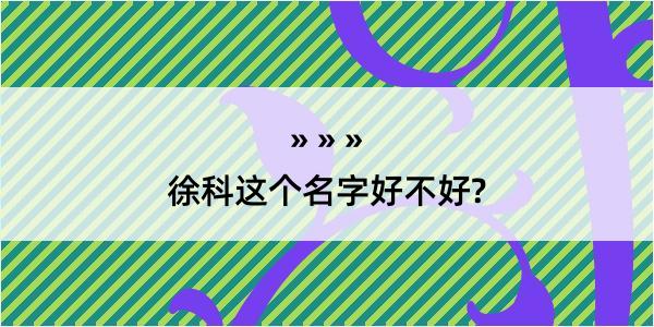 徐科这个名字好不好?